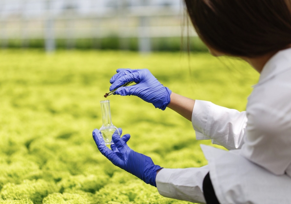 스크린샷 2025-09-01 오후 11.24.46